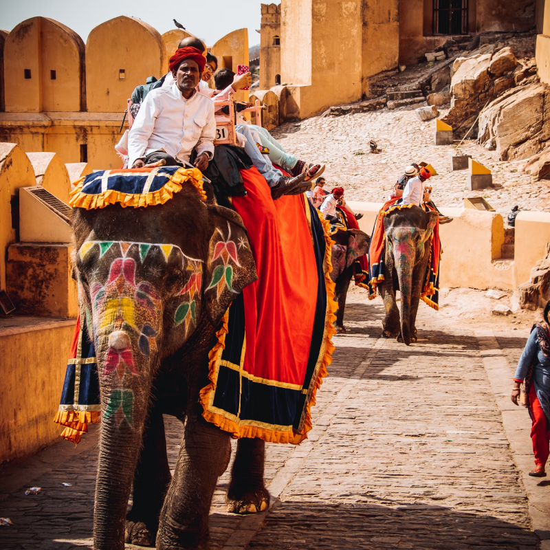 golden-triangle-tour-packages