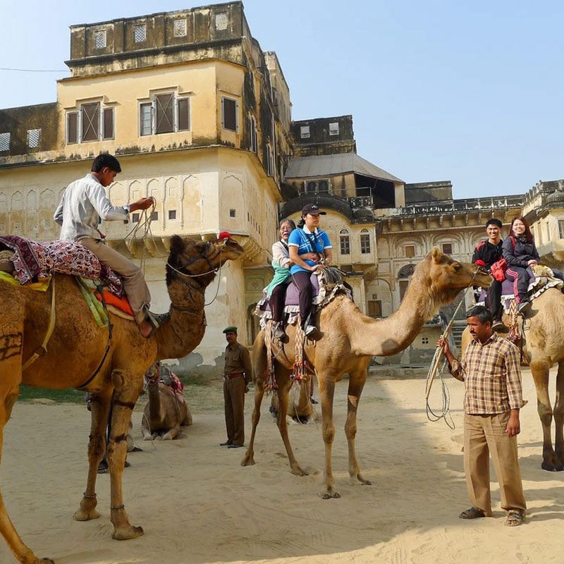 rajasthan-camel-safari